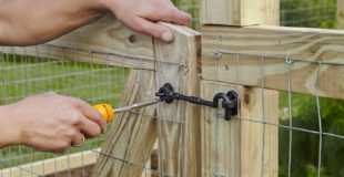 All You Need to Know About Critter Fence