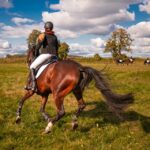 Expert Advice for Selecting the Best Horse Equipment Suppliers